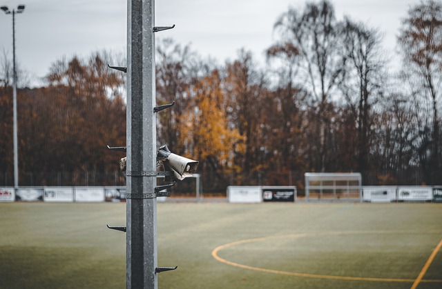 力也显著增 力也显著增