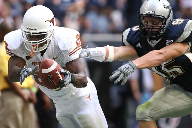 他的职业生 他的职业生