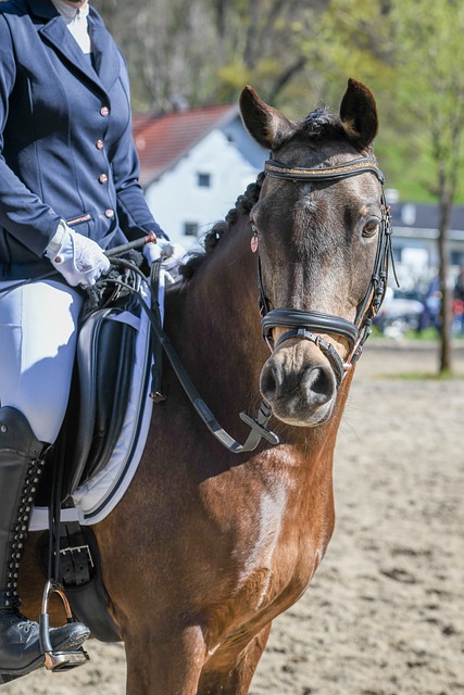 印象深刻 印象深刻