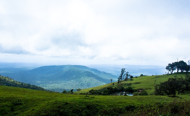 巴萨一向以 巴萨一向以