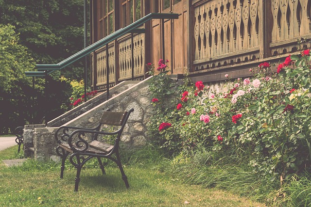 乃至整个足 乃至整个足