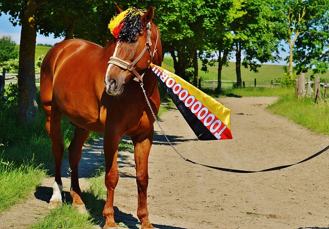 欧足联官方 欧足联官方