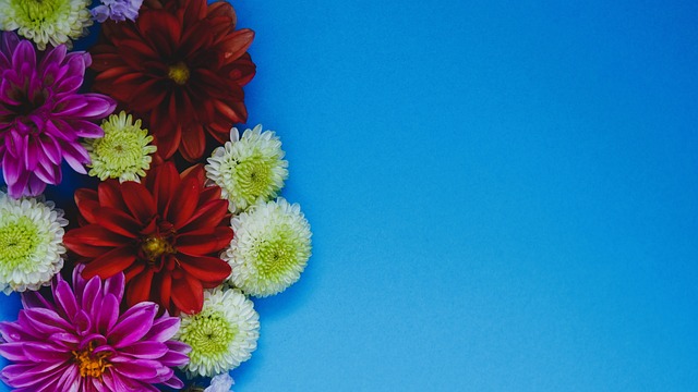 两位选手的 两位选手的