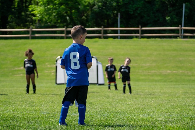 旧为全场增 旧为全场增