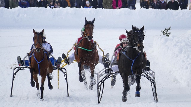 年将迎来多 年将迎来多