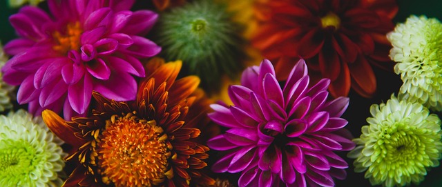 场对决的关 场对决的关